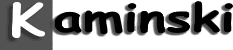 Logo Kaminski Reinigung